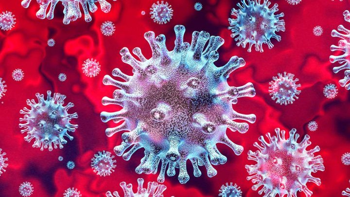 Сколько лет коронавирусу и как начиналась пандемия COVID-19?