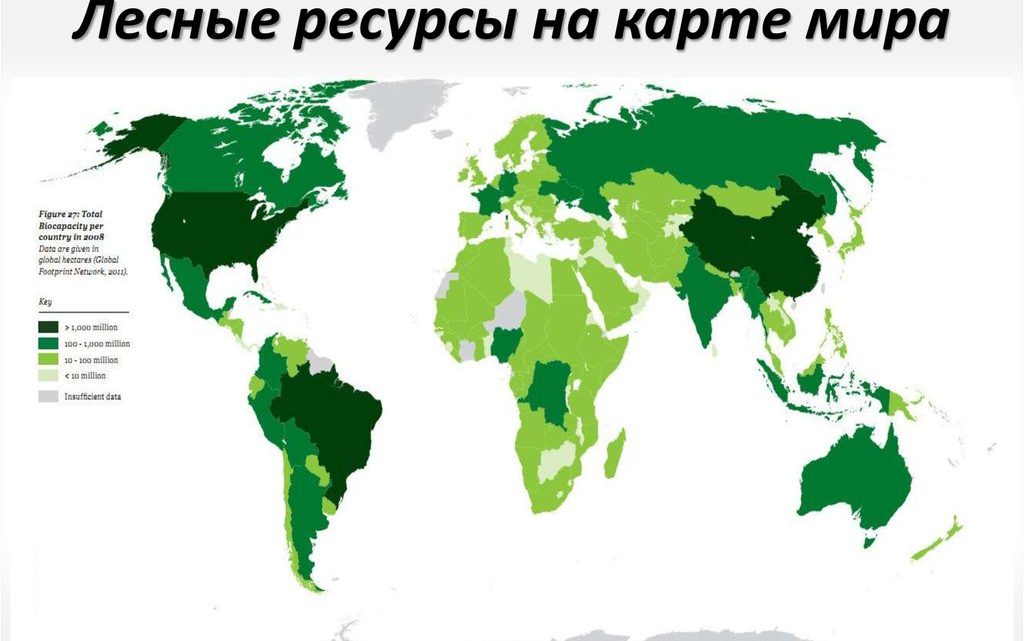 В какой стране больше всего лесов?